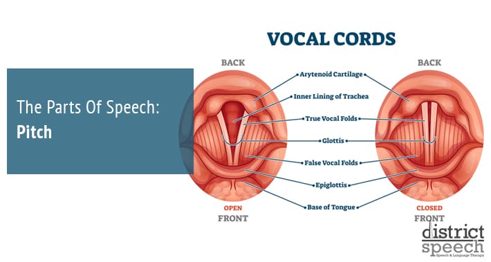 The Parts of Speech: Pitch | District Speech & Language Therapy | Washington D.C. & Arlington VA