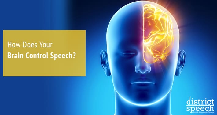 How Does Your Brain Control Speech? | District Speech & Language Therapy | Washington D.C. & Arlington VA